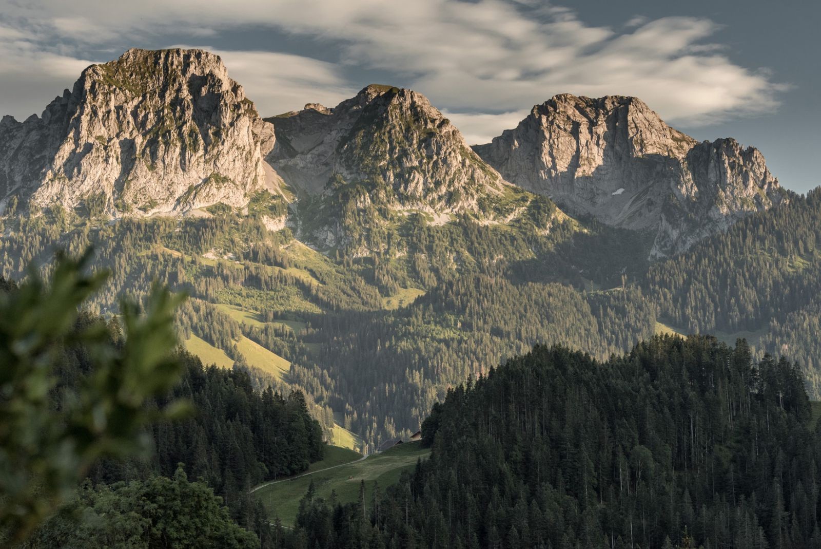 Mountains above Rougemont, Vaud